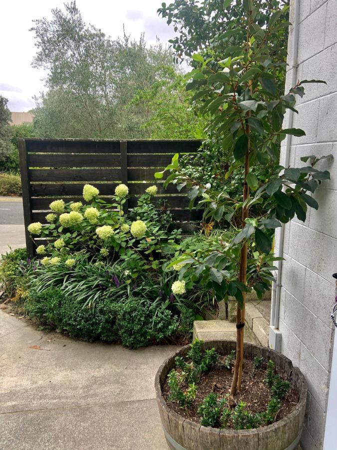 Garden Studio Leilighet Havelock North Eksteriør bilde