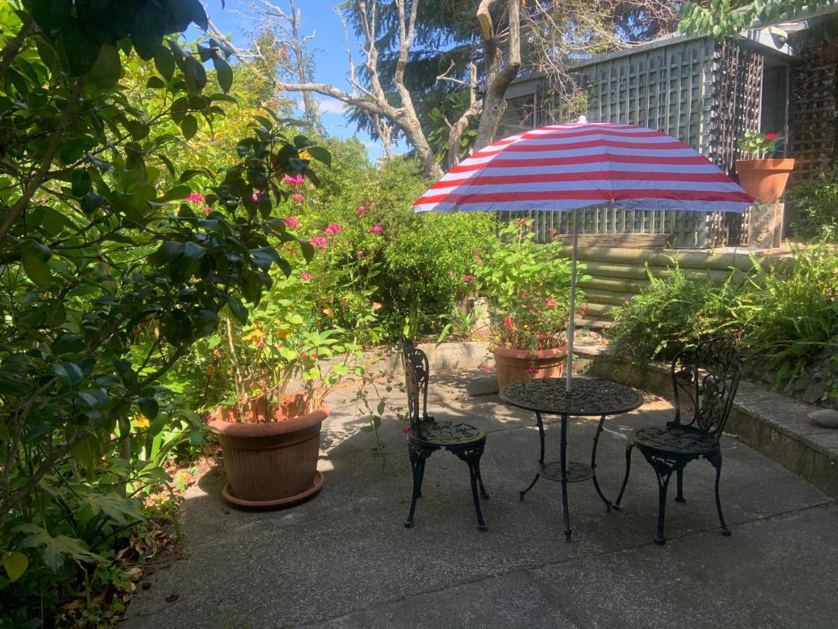 Garden Studio Leilighet Havelock North Eksteriør bilde